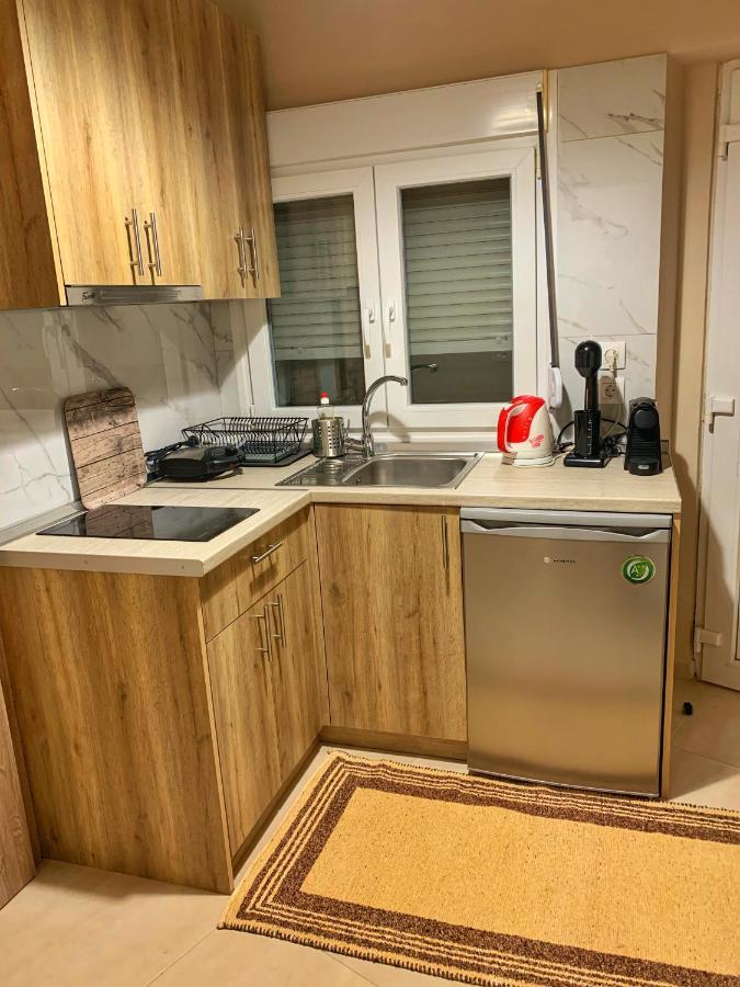 Petite Luxury Urban House Apartment Trikala  Exterior photo